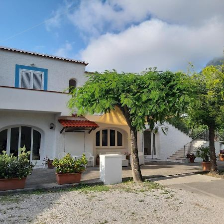 Cocos Park Ischia Bed & Breakfast Forio di Ischia Dış mekan fotoğraf