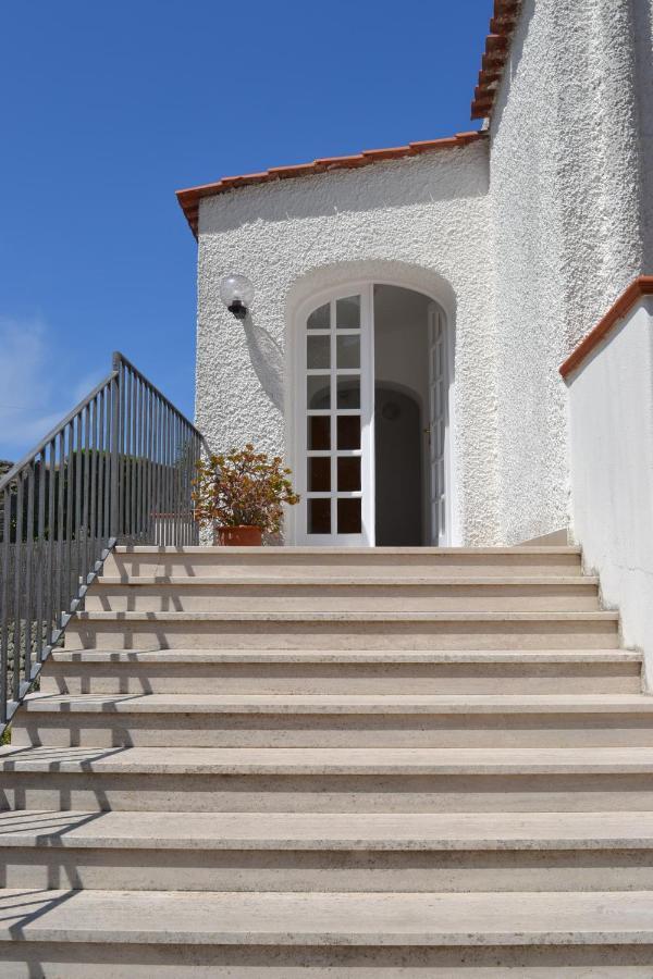 Cocos Park Ischia Bed & Breakfast Forio di Ischia Dış mekan fotoğraf