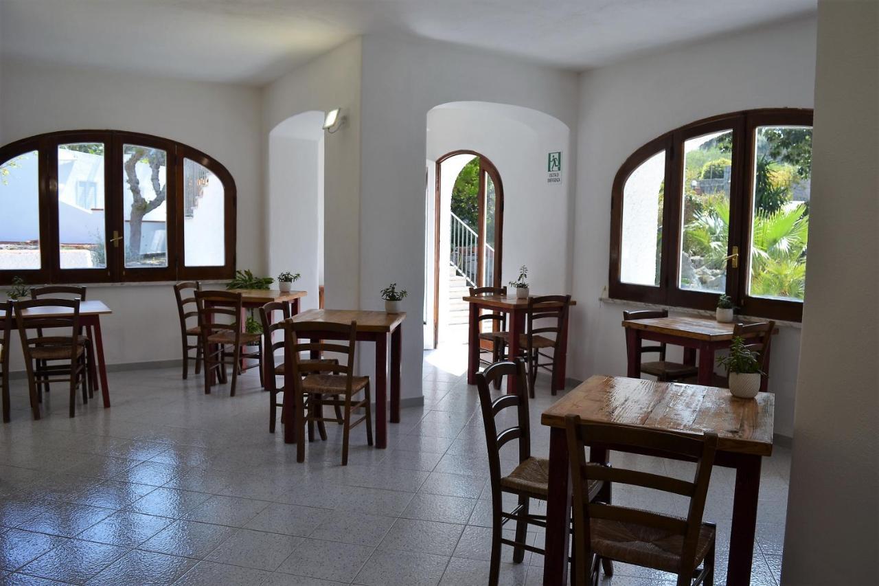 Cocos Park Ischia Bed & Breakfast Forio di Ischia Dış mekan fotoğraf